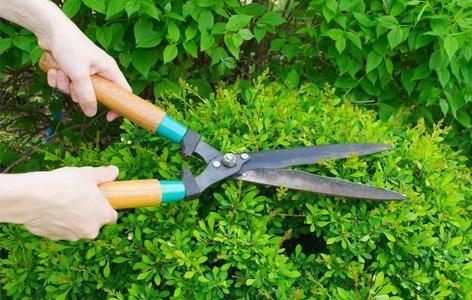 LANDSCAPING GARDEN MAINTENANCE